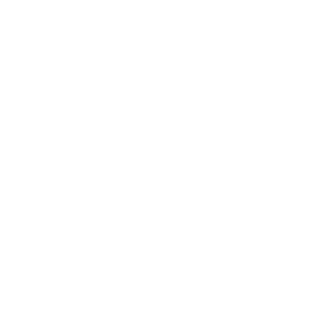 ALLEIVA