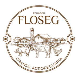 Floseg